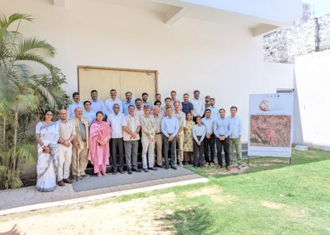 राजस्थान में कराकल संरक्षण हेतु “प्रोजेक्ट कराकल” का शुभारंभ