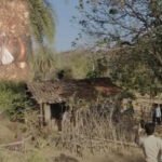 ओगणा में विवाहिता की मौत के बाद पति की ससुराल पक्ष ने की हत्या