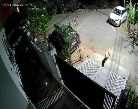 चित्रकूटनगर पत्रकार कॉलोनी में पानी का मीटर चुरा ले गया चोरों का गिरोह
