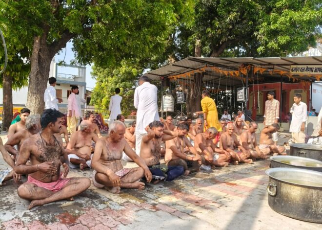 मेनार में नीलकंठ महादेव मंदिर पर 5 दिवसीय रुद्र मारुति महायज्ञ शुरू